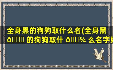 全身黑的狗狗取什么名(全身黑 🐞 的狗狗取什 🌾 么名字好听点)